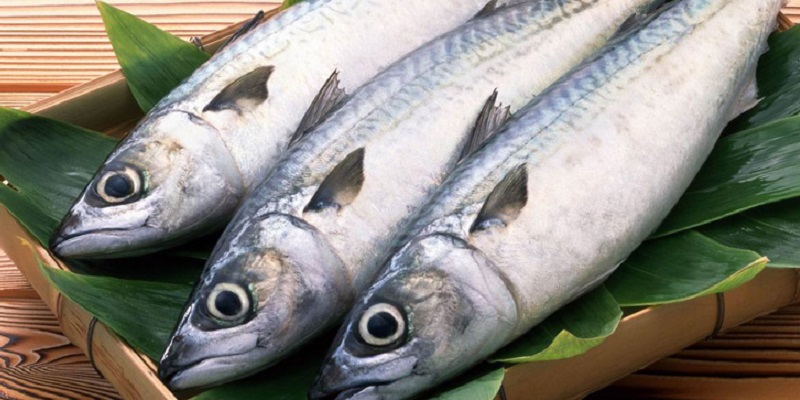 CÁ đồng